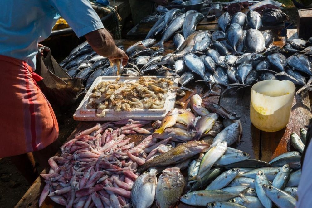 Why visit south coast markets this weekend