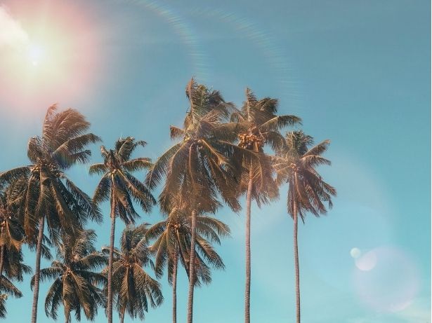 summer-holiday
